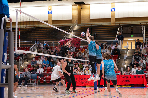 Volleyball Championships - Nov. 2025