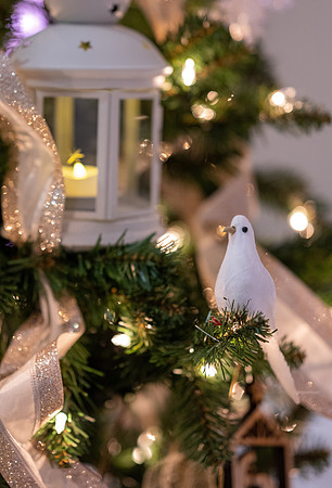 Campus Christmas - Nov 2022