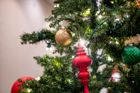 Christmas Gathering for Employees- Dec 2025