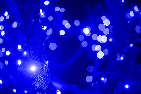 Campus Christmas Lights - Dec 2025