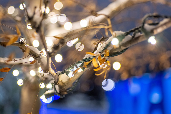 Campus Christmas Lights - Dec 2025