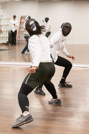 Fencing - June 2024