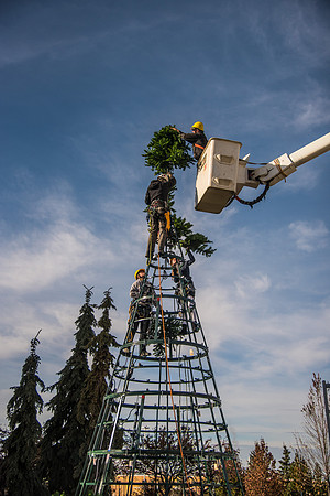 The BYU-Idaho ground keeping crew set up a christmas tree in front of the Taylor chapel. Fall Semester.
