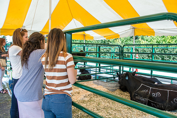 AG Days is a great opportunity for BYU-Idaho students and community to come get a hands on educational experience with agriculture.