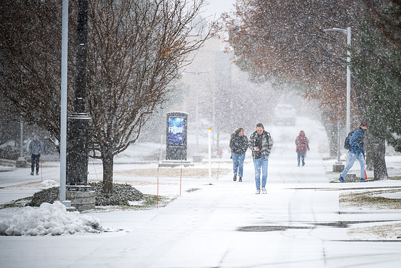 Snowy Day - Jan 2026