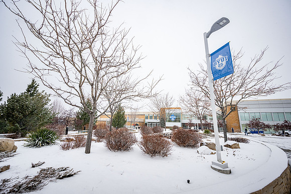 Snowy Day - Jan 2026