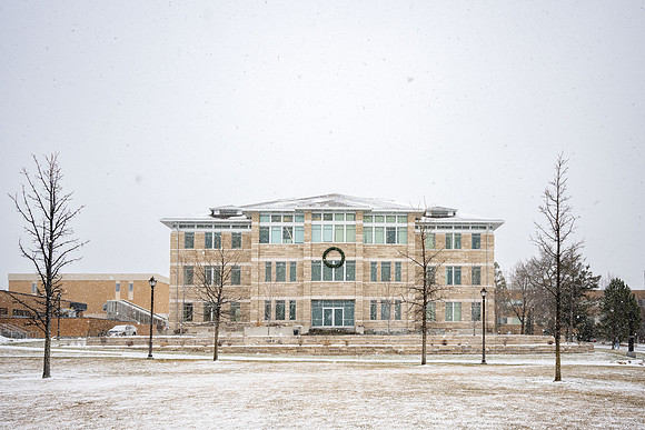 Snowy Day - Jan 2026