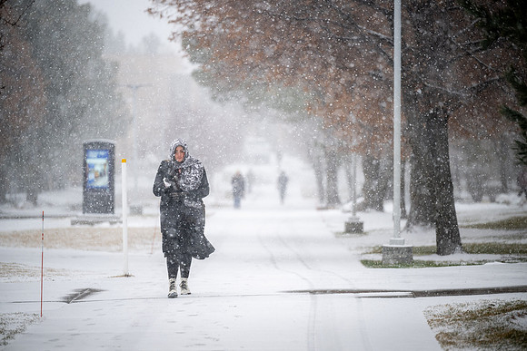 Snowy Day - Jan 2026
