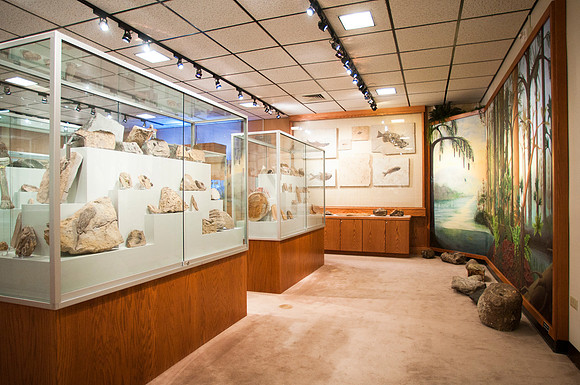 New displays to hold artifacts and mineral collection in the geology museum.