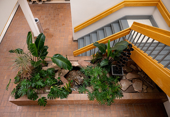 Hallway Website Refresh - Winter 2026