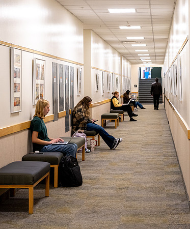 Hallway Website Refresh - Winter 2026