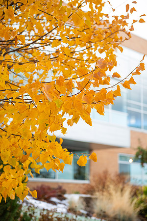 Fall Photos - Oct. 2022
