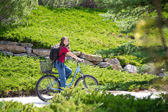 Bike Lock - May 2025