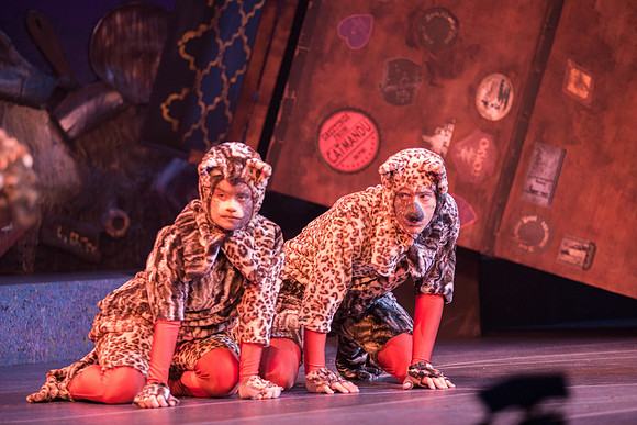The magical story introduces a community of cats called the Jellicles who live at one corner of a trash dump. It enacts the night they make the “Jellicle Choice” that decides which cat will ascend to