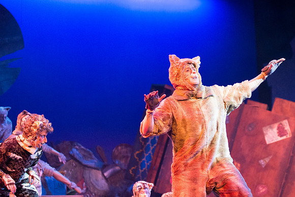 The magical story introduces a community of cats called the Jellicles who live at one corner of a trash dump. It enacts the night they make the “Jellicle Choice” that decides which cat will ascend to