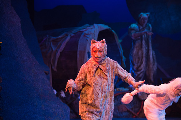 The magical story introduces a community of cats called the Jellicles who live at one corner of a trash dump. It enacts the night they make the “Jellicle Choice” that decides which cat will ascend to