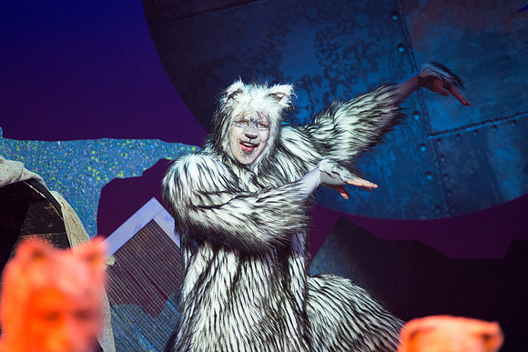 The magical story introduces a community of cats called the Jellicles who live at one corner of a trash dump. It enacts the night they make the “Jellicle Choice” that decides which cat will ascend to