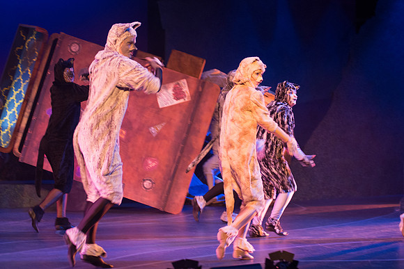The magical story introduces a community of cats called the Jellicles who live at one corner of a trash dump. It enacts the night they make the “Jellicle Choice” that decides which cat will ascend to