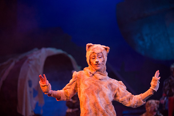 The magical story introduces a community of cats called the Jellicles who live at one corner of a trash dump. It enacts the night they make the “Jellicle Choice” that decides which cat will ascend to