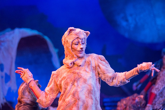 The magical story introduces a community of cats called the Jellicles who live at one corner of a trash dump. It enacts the night they make the “Jellicle Choice” that decides which cat will ascend to