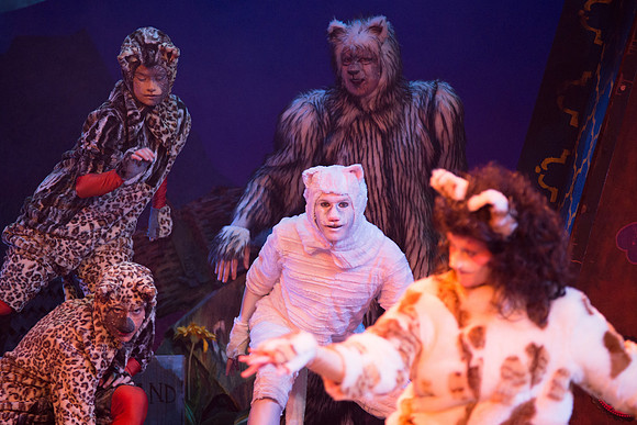 The magical story introduces a community of cats called the Jellicles who live at one corner of a trash dump. It enacts the night they make the “Jellicle Choice” that decides which cat will ascend to