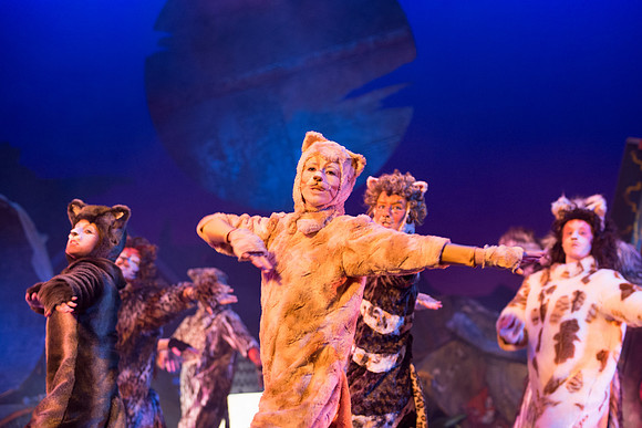 The magical story introduces a community of cats called the Jellicles who live at one corner of a trash dump. It enacts the night they make the “Jellicle Choice” that decides which cat will ascend to