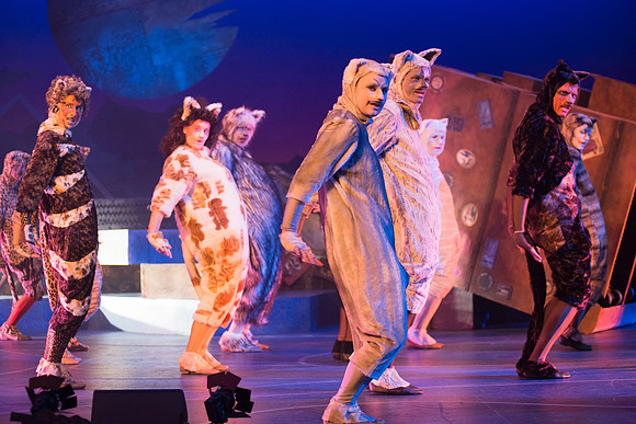 The magical story introduces a community of cats called the Jellicles who live at one corner of a trash dump. It enacts the night they make the “Jellicle Choice” that decides which cat will ascend to