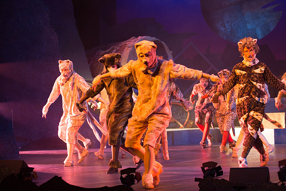 The magical story introduces a community of cats called the Jellicles who live at one corner of a trash dump. It enacts the night they make the “Jellicle Choice” that decides which cat will ascend to