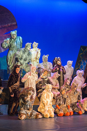 The magical story introduces a community of cats called the Jellicles who live at one corner of a trash dump. It enacts the night they make the “Jellicle Choice” that decides which cat will ascend to