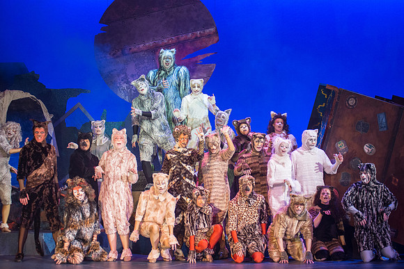The magical story introduces a community of cats called the Jellicles who live at one corner of a trash dump. It enacts the night they make the “Jellicle Choice” that decides which cat will ascend to