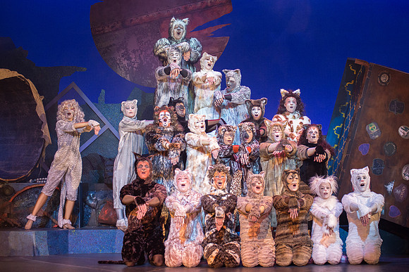 The magical story introduces a community of cats called the Jellicles who live at one corner of a trash dump. It enacts the night they make the “Jellicle Choice” that decides which cat will ascend to