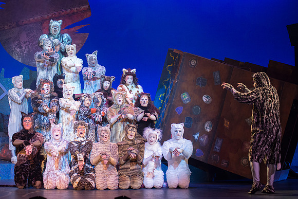The magical story introduces a community of cats called the Jellicles who live at one corner of a trash dump. It enacts the night they make the “Jellicle Choice” that decides which cat will ascend to