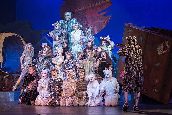 The magical story introduces a community of cats called the Jellicles who live at one corner of a trash dump. It enacts the night they make the “Jellicle Choice” that decides which cat will ascend to