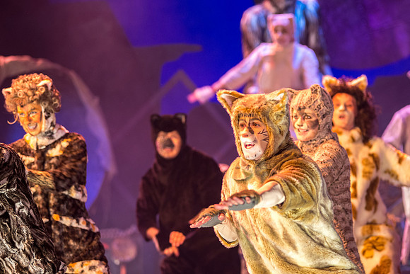 The magical story introduces a community of cats called the Jellicles who live at one corner of a trash dump. It enacts the night they make the “Jellicle Choice” that decides which cat will ascend to