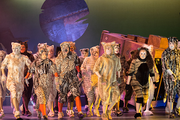 The magical story introduces a community of cats called the Jellicles who live at one corner of a trash dump. It enacts the night they make the “Jellicle Choice” that decides which cat will ascend to