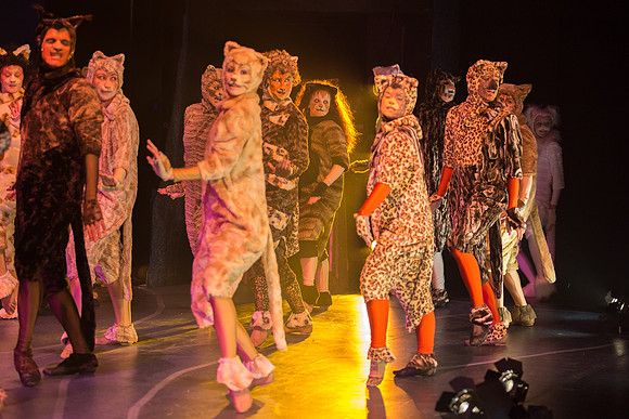 The magical story introduces a community of cats called the Jellicles who live at one corner of a trash dump. It enacts the night they make the “Jellicle Choice” that decides which cat will ascend to