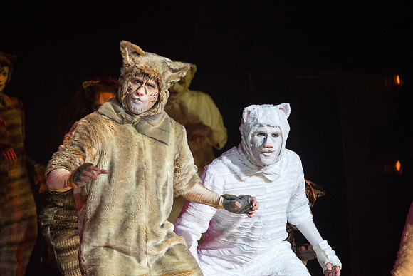 The magical story introduces a community of cats called the Jellicles who live at one corner of a trash dump. It enacts the night they make the “Jellicle Choice” that decides which cat will ascend to