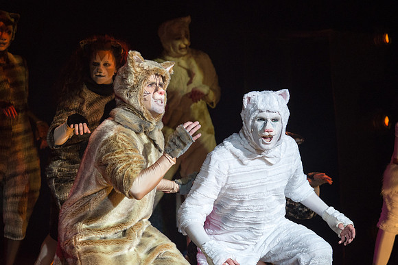 The magical story introduces a community of cats called the Jellicles who live at one corner of a trash dump. It enacts the night they make the “Jellicle Choice” that decides which cat will ascend to