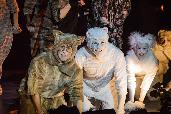 The magical story introduces a community of cats called the Jellicles who live at one corner of a trash dump. It enacts the night they make the “Jellicle Choice” that decides which cat will ascend to