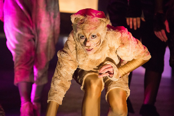 The magical story introduces a community of cats called the Jellicles who live at one corner of a trash dump. It enacts the night they make the “Jellicle Choice” that decides which cat will ascend to