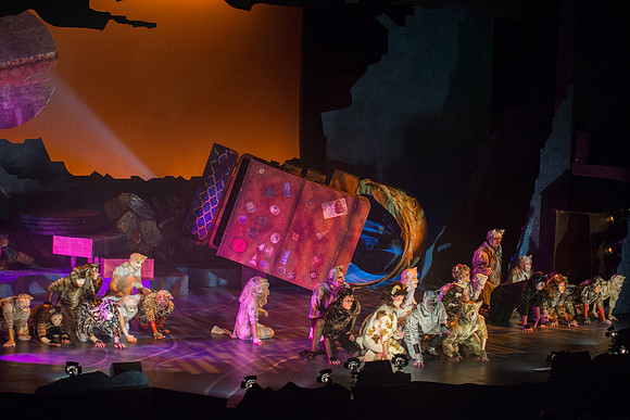 The magical story introduces a community of cats called the Jellicles who live at one corner of a trash dump. It enacts the night they make the “Jellicle Choice” that decides which cat will ascend to