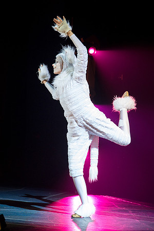 The magical story introduces a community of cats called the Jellicles who live at one corner of a trash dump. It enacts the night they make the “Jellicle Choice” that decides which cat will ascend to