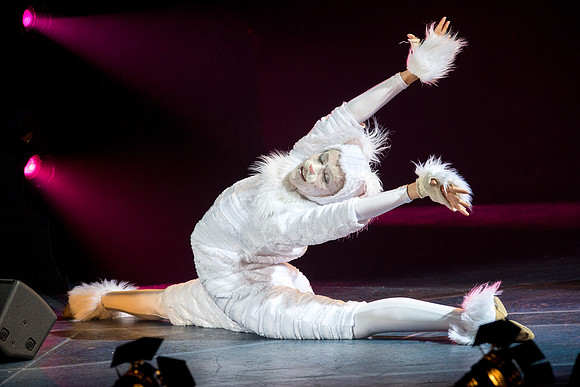 The magical story introduces a community of cats called the Jellicles who live at one corner of a trash dump. It enacts the night they make the “Jellicle Choice” that decides which cat will ascend to