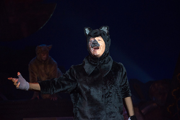The magical story introduces a community of cats called the Jellicles who live at one corner of a trash dump. It enacts the night they make the “Jellicle Choice” that decides which cat will ascend to