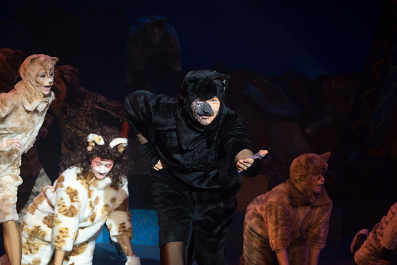 The magical story introduces a community of cats called the Jellicles who live at one corner of a trash dump. It enacts the night they make the “Jellicle Choice” that decides which cat will ascend to