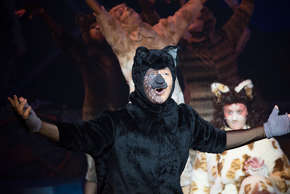 The magical story introduces a community of cats called the Jellicles who live at one corner of a trash dump. It enacts the night they make the “Jellicle Choice” that decides which cat will ascend to