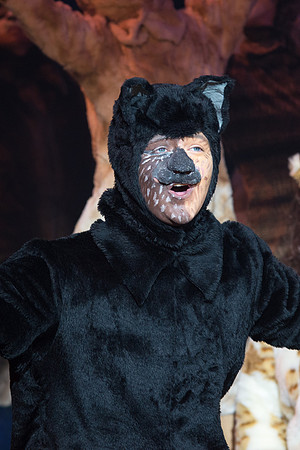 The magical story introduces a community of cats called the Jellicles who live at one corner of a trash dump. It enacts the night they make the “Jellicle Choice” that decides which cat will ascend to