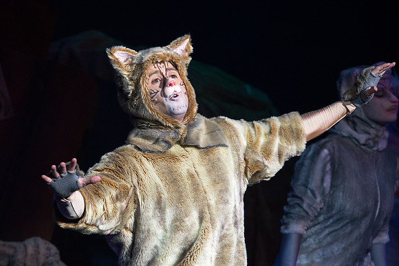 The magical story introduces a community of cats called the Jellicles who live at one corner of a trash dump. It enacts the night they make the “Jellicle Choice” that decides which cat will ascend to