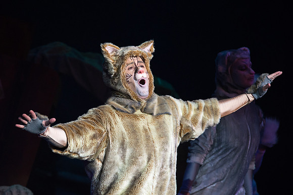 The magical story introduces a community of cats called the Jellicles who live at one corner of a trash dump. It enacts the night they make the “Jellicle Choice” that decides which cat will ascend to