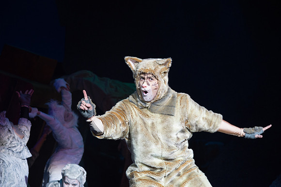 The magical story introduces a community of cats called the Jellicles who live at one corner of a trash dump. It enacts the night they make the “Jellicle Choice” that decides which cat will ascend to